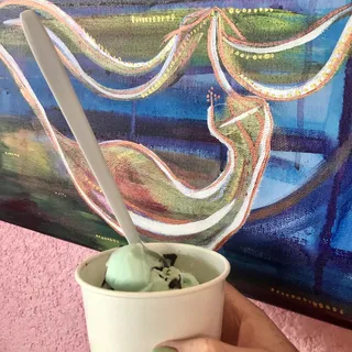 Mint Chocolate Chip