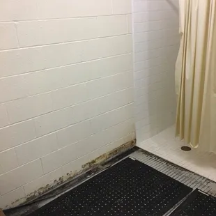 Showers could use some TLC.