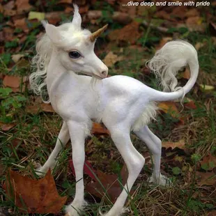 One Love a Lifestyles Temple open every day and night for exclusive couples and females with nude pools - 24 hour lounge love www.spalv.com