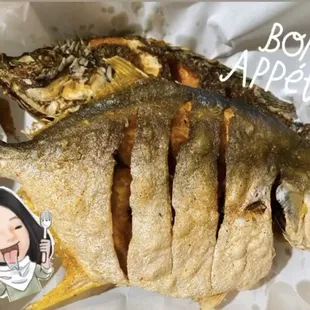 a close up of a fish