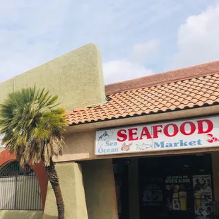 a palm tree in front of the store