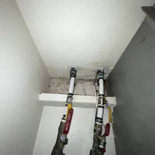 probably never been cleaned...