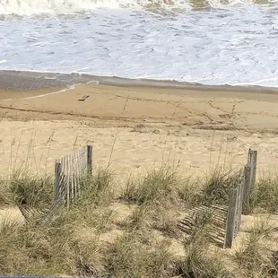 Standing on the balcony. The water is right there!!!