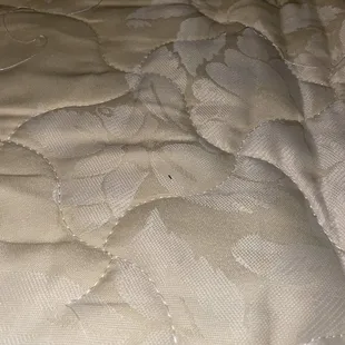 dirty mattress