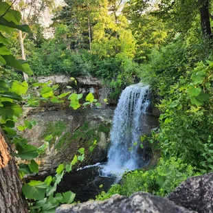 a waterfall surrounded by trees