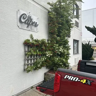 Capes Hotel where (privately owned)  Salt Grill is located. Come check out the smallest restaurant at the oceanfront.