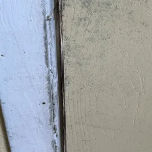 the front door (aswell)