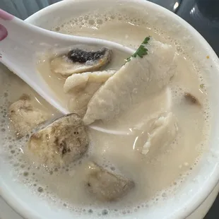 S9. Coconut Chicken Soup