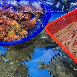 a variety of fish in baskets