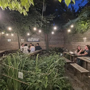 Backyard at the Sea Witch