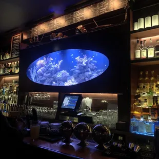 Bar fish tank