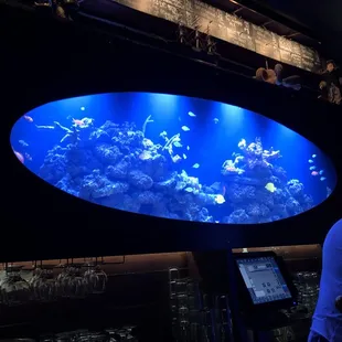 interior, sushi and sashimi