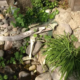 interior, ramen and noodles