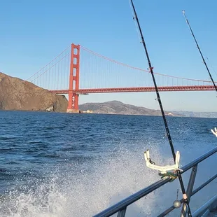 Awesome view from the boat.