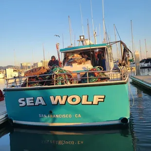 Sea Wolf