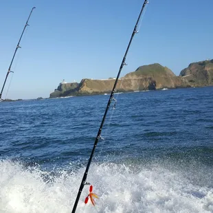 Nice run up the coast to point rayes