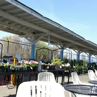 My favorite place for serenity at lunch... Outdoor seating amongst seasonal greenery and flowers...