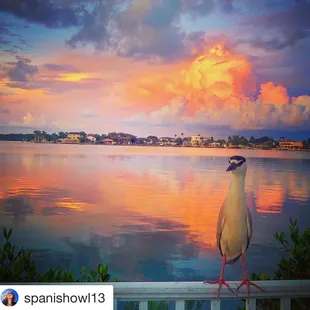 George! A local resident ;)