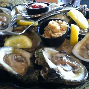 Raw Oysters
