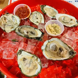 Raw oysters