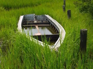 Eastern Shore National Wildlife Refuge