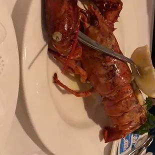 Lobster