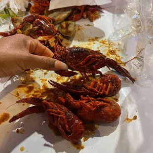 Huge crawfish!