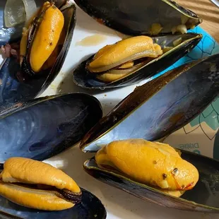 Fresh and meaty mussels
