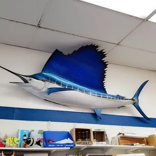 Iconic swordfish