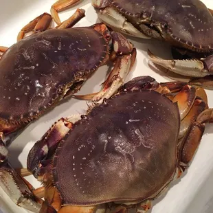 Three live crabs from the market