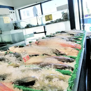 Live crabs and fresh fish/reasonably priced Chilean sea bass (my fave fish)