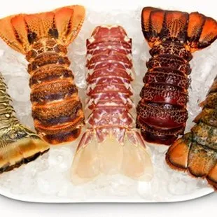 Frozen Tristan da Cunha lobster tails!