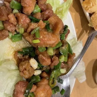 House Special Chicken