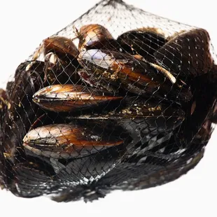 a mesh bag filled with mussels