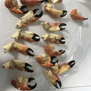 Stone Crabs