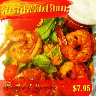 a salad with grilled shrimp