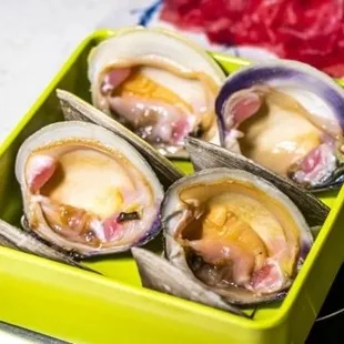 four clams in a green container