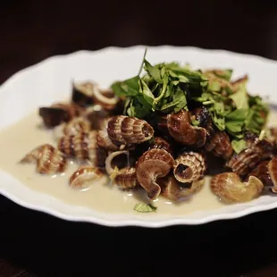 Snails in coconut sauce