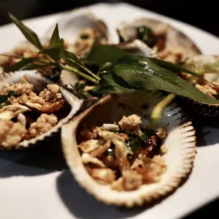 three clams on a plate