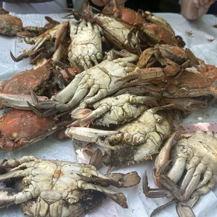 Blue Crabs