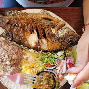 Mojarra MARVELOUS