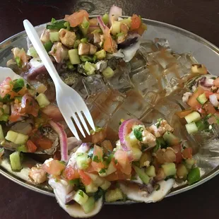 Oysters