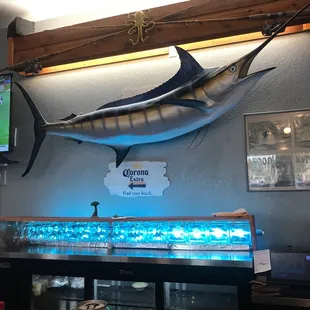 interior, sushi and sashimi