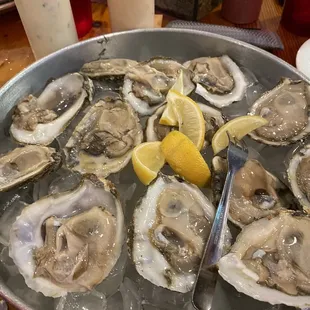 Raw Oysters