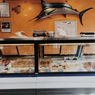 Fresh fish case