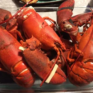 Incredible Crustaceans.