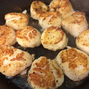 Incredible Scallops!