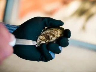 Tom's Seafood & Gourmet Market