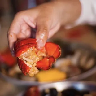 a person holding a crab in their hand