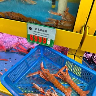 New products and looking forward to it!! The staff told me they might get more for the holidays!